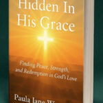 3d hidden in his grace by paula jane worswick